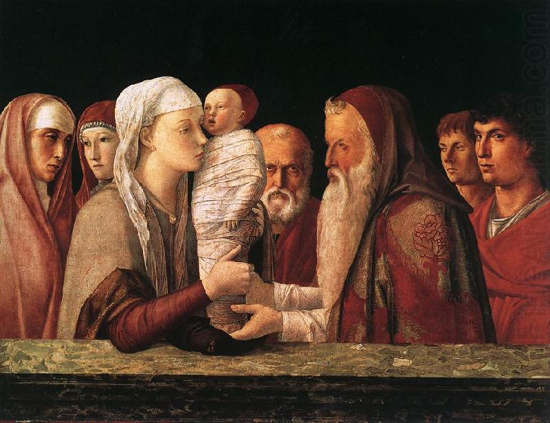 Presentation at the Temple  yrfuy, BELLINI, Giovanni